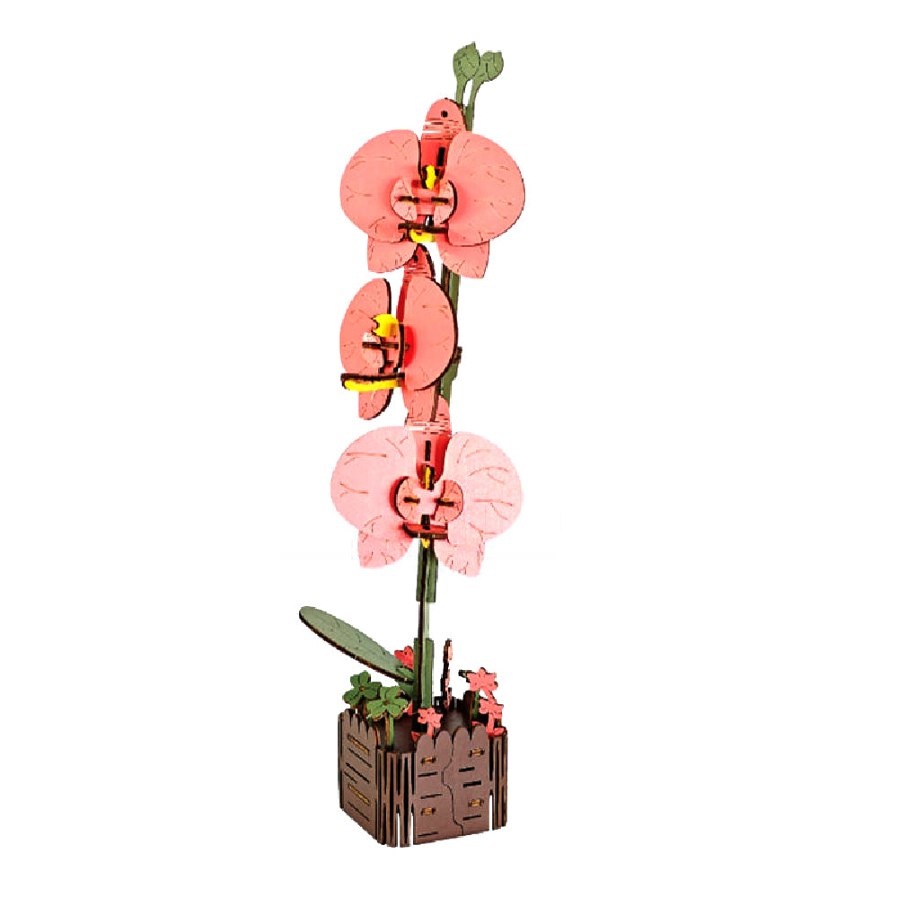 Orchid 3D Wooden Flower Pot DIY Craft Kit